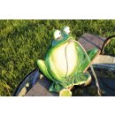 powershop11 Wasserspeier Frosch 16 cm dk.grün mit Solar