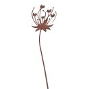 Rostblume Dolde am Stab, rostfarben, Höhe 91 cm