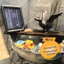Wasserspeier Ente Guss startend 17 cm mit Solarpumpe und...